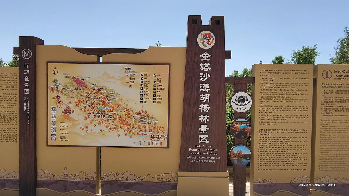 2025年旅游年票景点