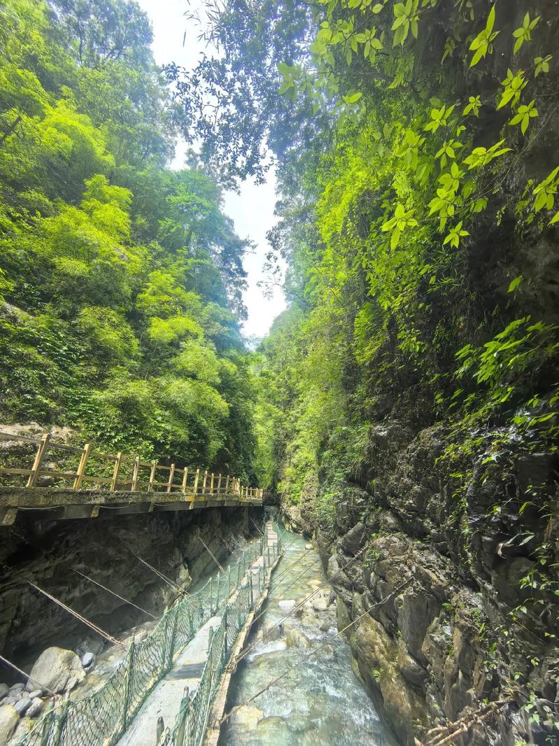 重庆万盛黑山谷自驾游