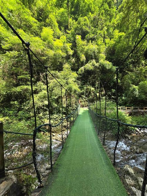 重庆万盛黑山谷自驾游