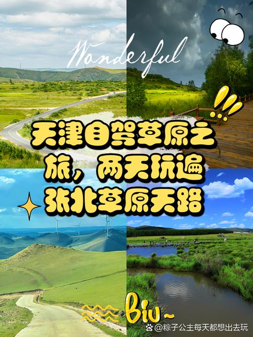 天津到天路自驾游住哪