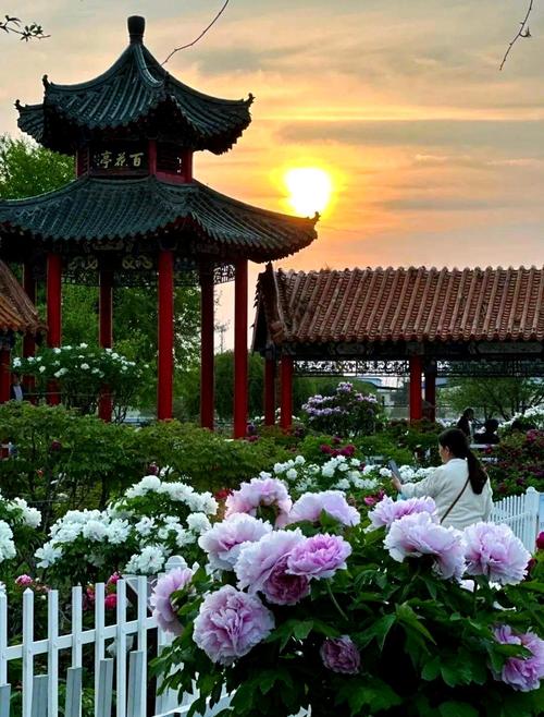 山东菏泽旅游景点有哪些