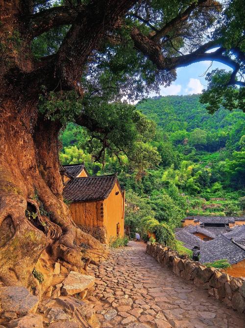 松阳旅游攻略必去的景点