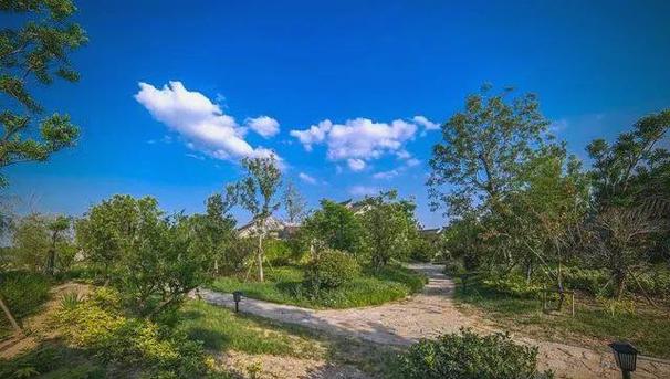 贾汪自驾游一日游攻略