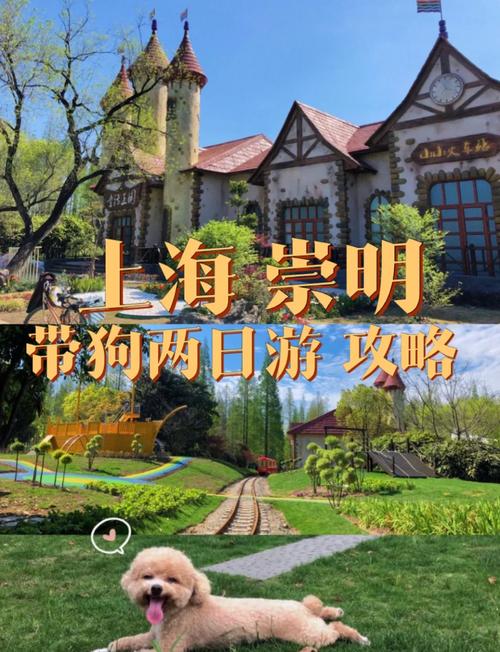 上海出发自驾游二日游