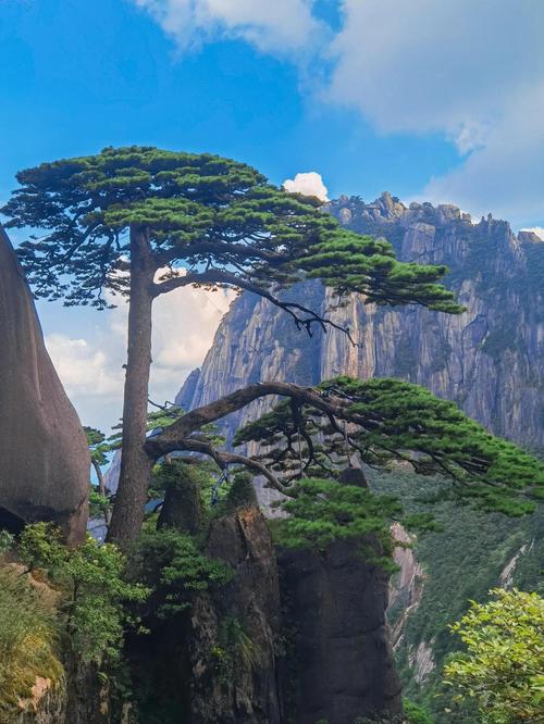 安徽黄山旅游景点有哪些