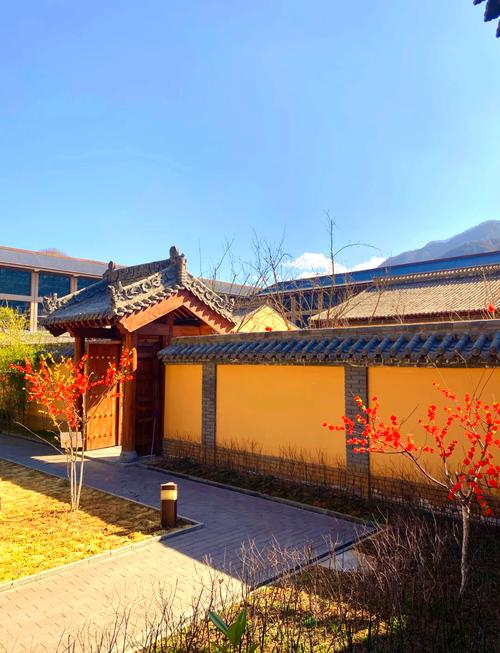 九龙山风景区 酒店