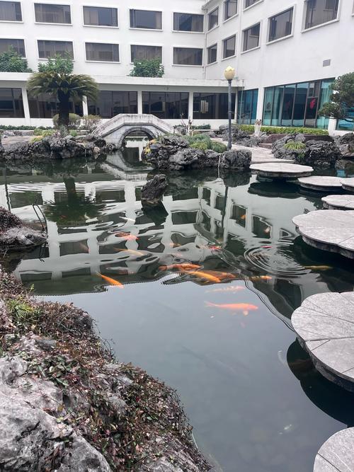 桂林市桂山华星酒店