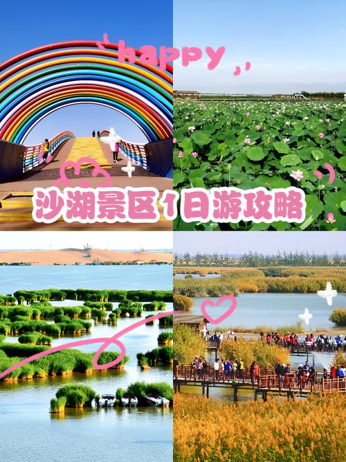 兰州到沙湖自驾游攻略