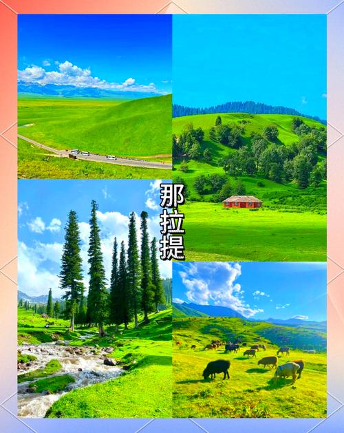 跟团和自驾游那种好些