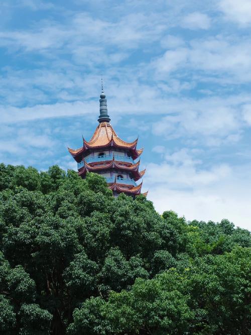 舟山哪里好玩的景点推荐