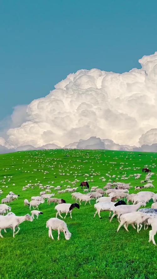 呼伦贝尔大草原旅游景点