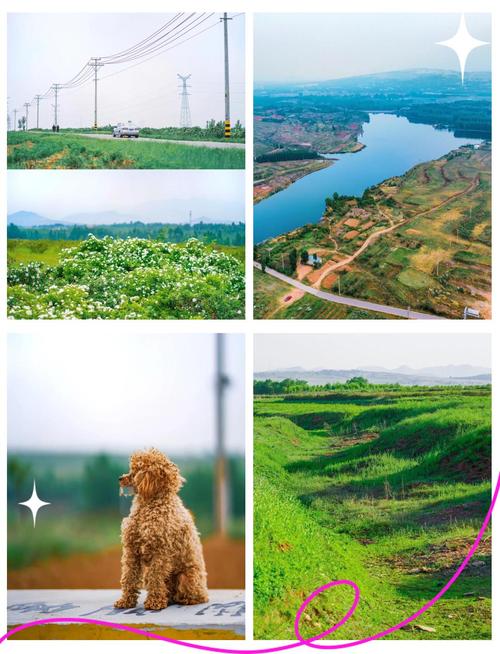 淄博去草原天路自驾游