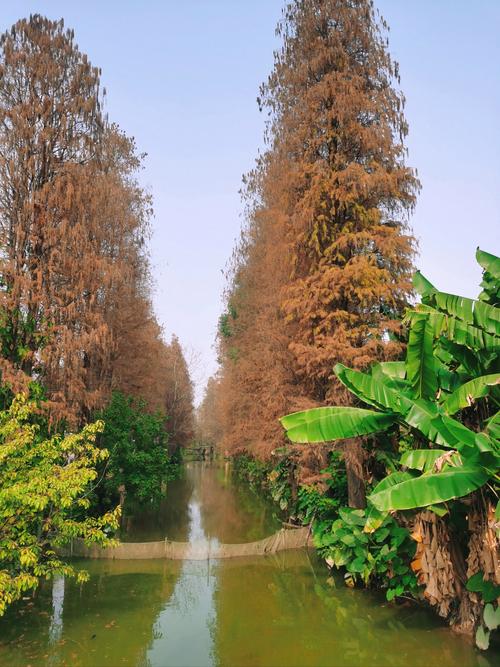 逢简水乡自驾游停哪里