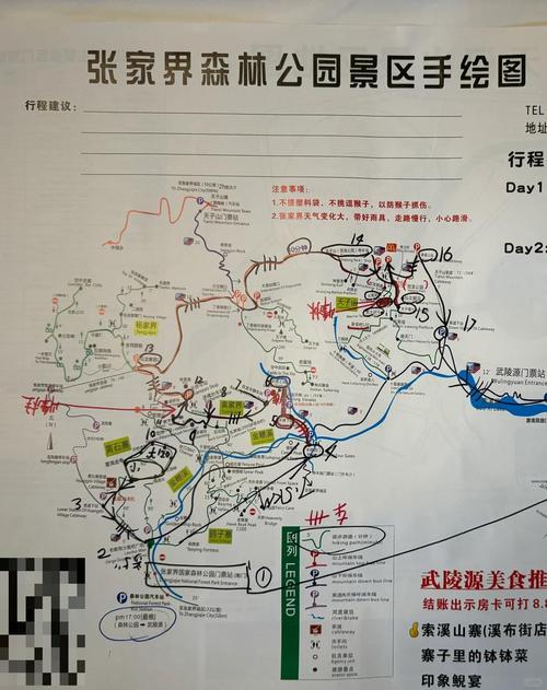 宜宾张家界自驾游攻略