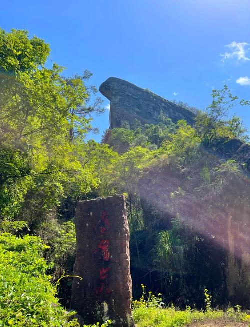 武夷山有哪些好玩的景点