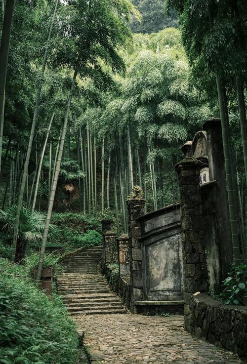 浙江旅游一日游景点推荐