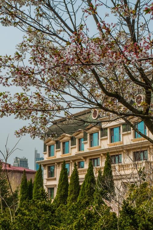 大连南山富丽华酒店