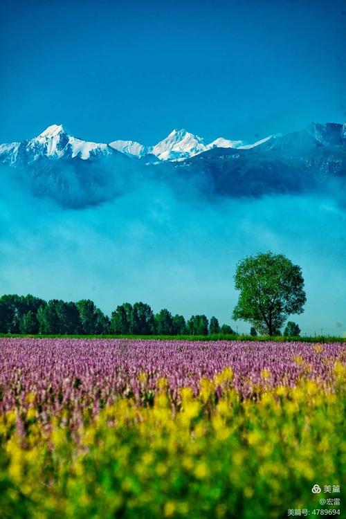 7月去哪里自驾游好玩