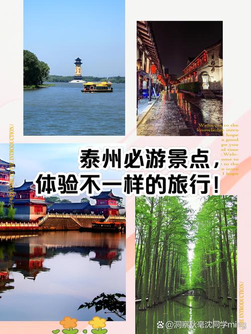 泰州一日游必去景点介绍