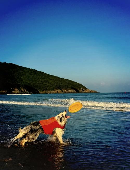 上海至舟山海边自驾游