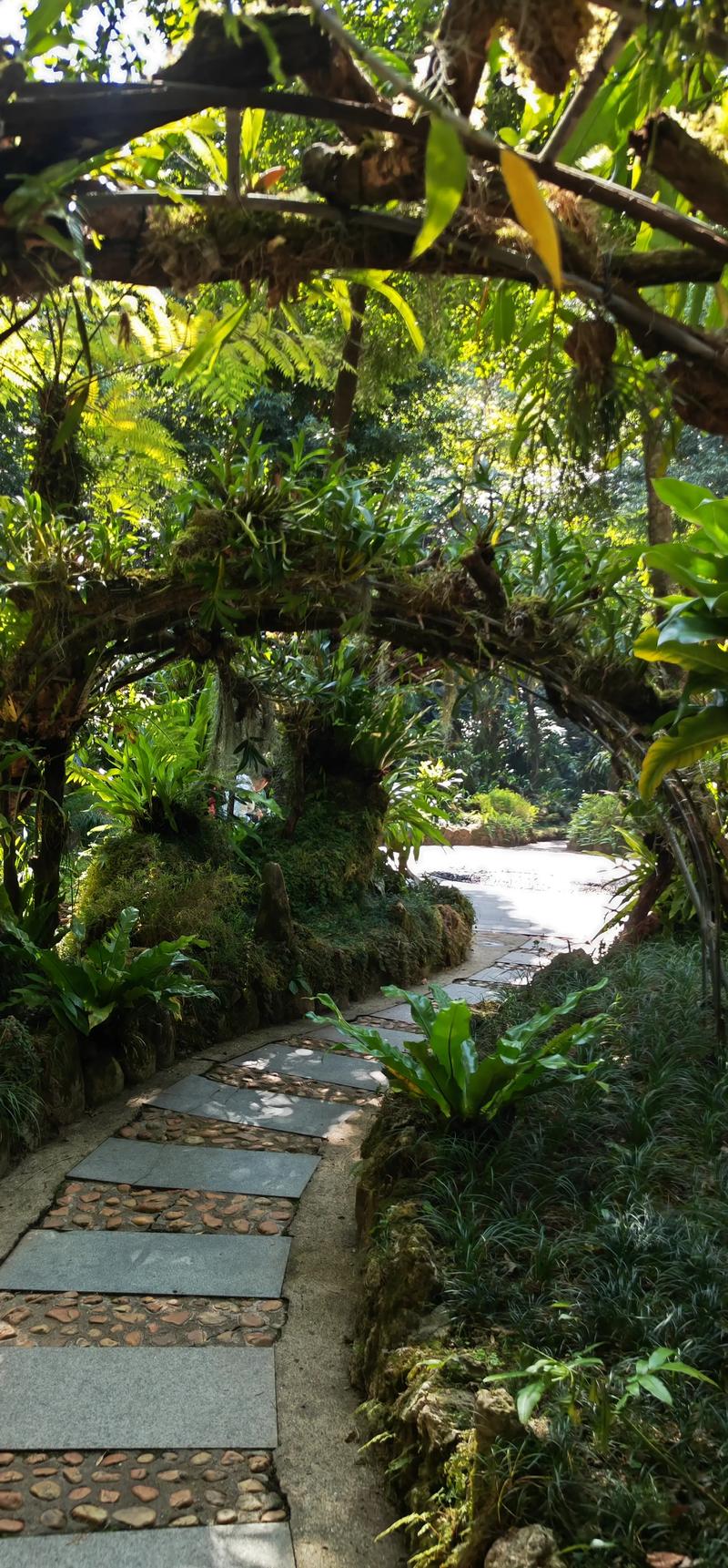 仙湖植物园有哪些景点