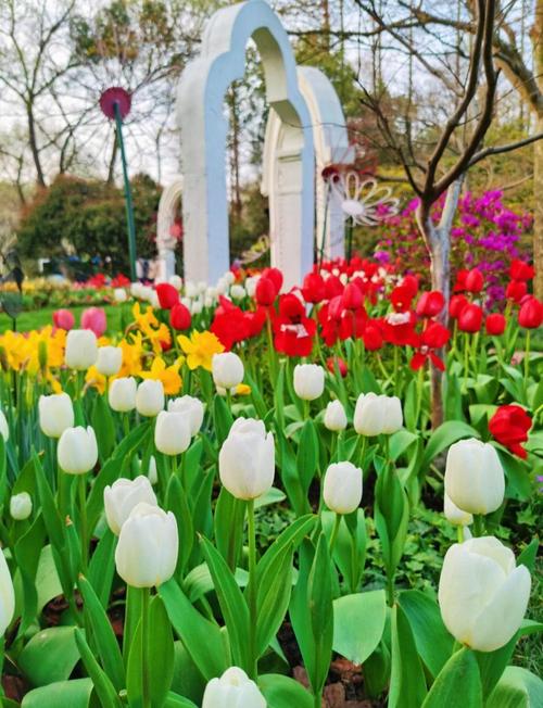 太子湾公园附近酒店