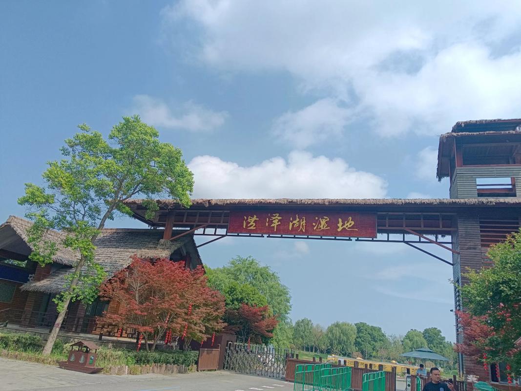 洪泽湖湿地公园自驾游