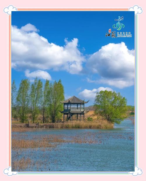洪泽湖湿地公园自驾游