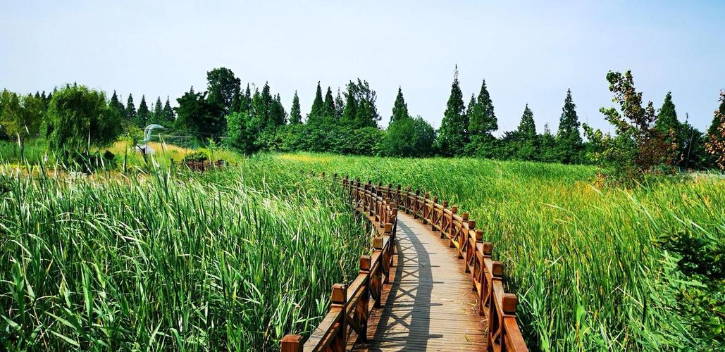 洪泽湖湿地公园自驾游
