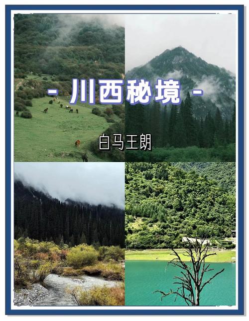 绵阳到白马王朗自驾游