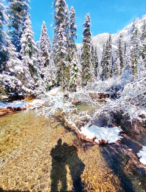 绵阳到白马王朗自驾游