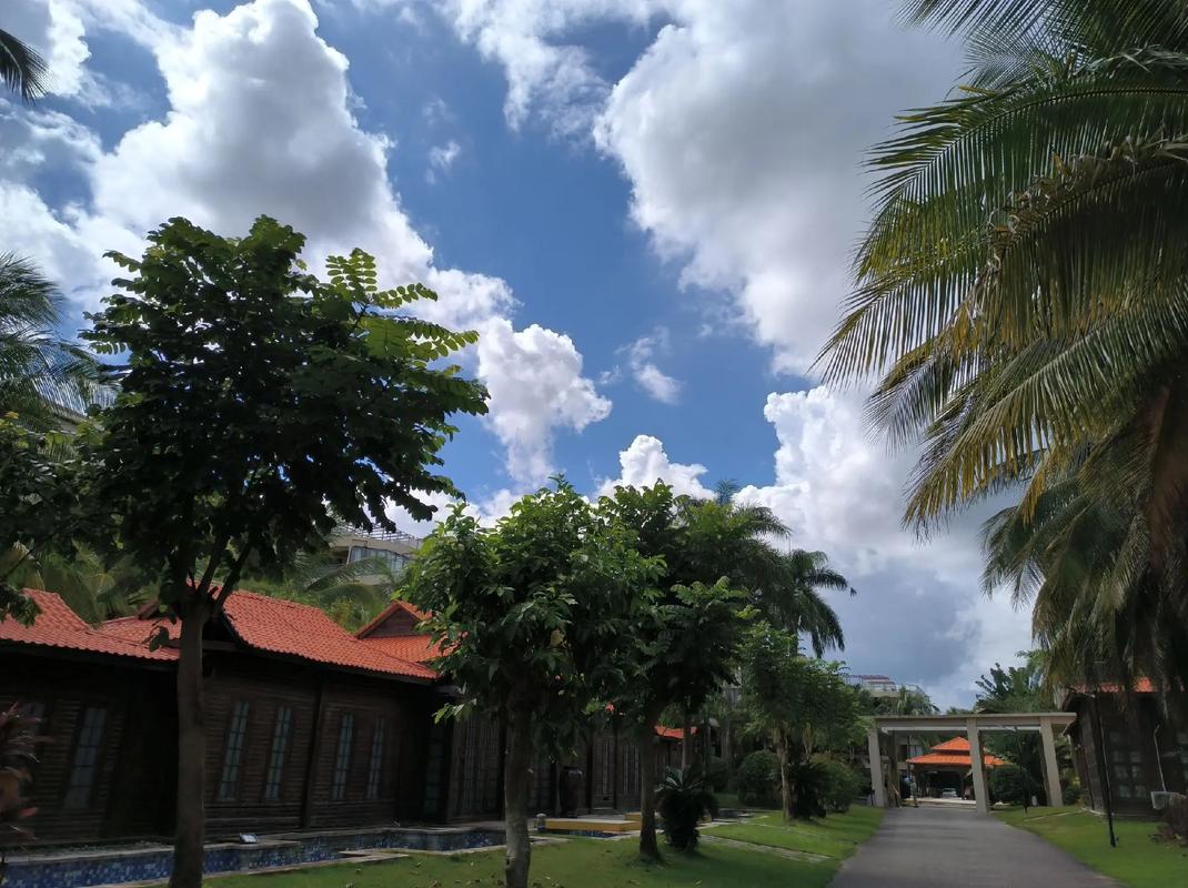 海南兴隆老榕树酒店