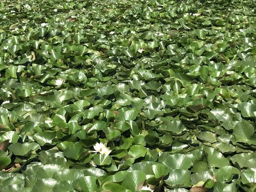 马驹桥附近有哪些景点