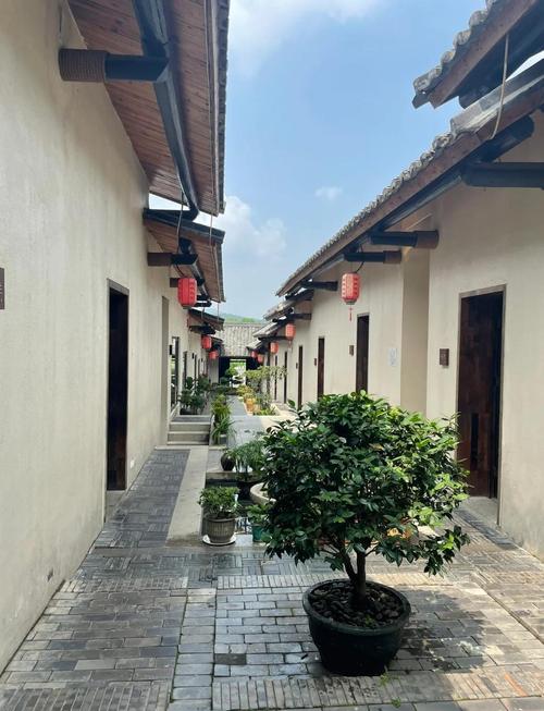 惠州自驾游推荐农家乐