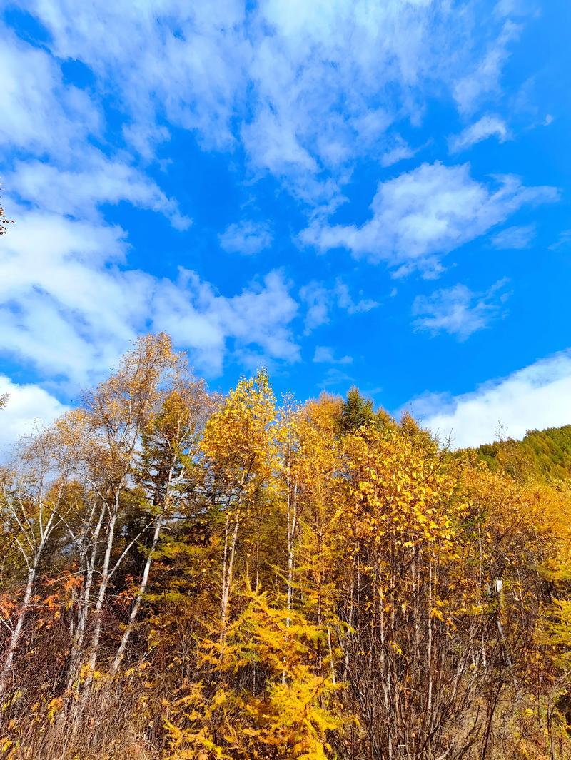 秋天张家口周边自驾游