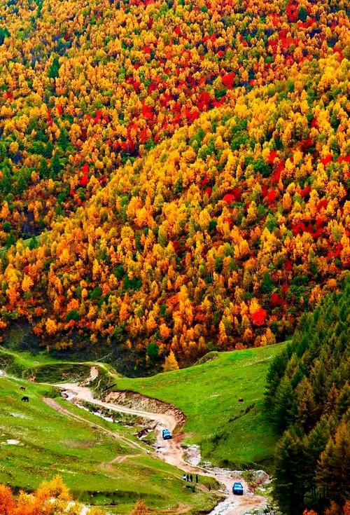 秋天张家口周边自驾游