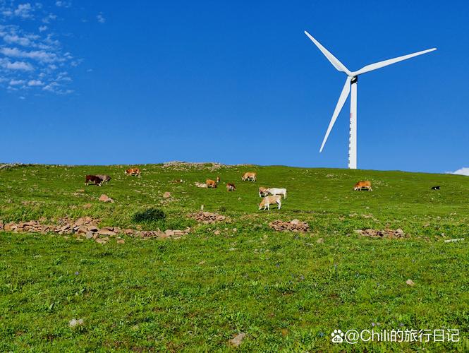 沧州到坝上草原自驾游