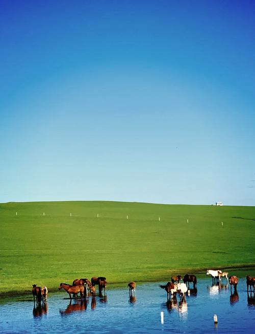 大连乌拉盖草原自驾游