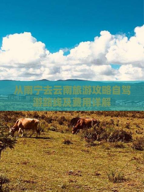 南宁去云南自驾游攻略