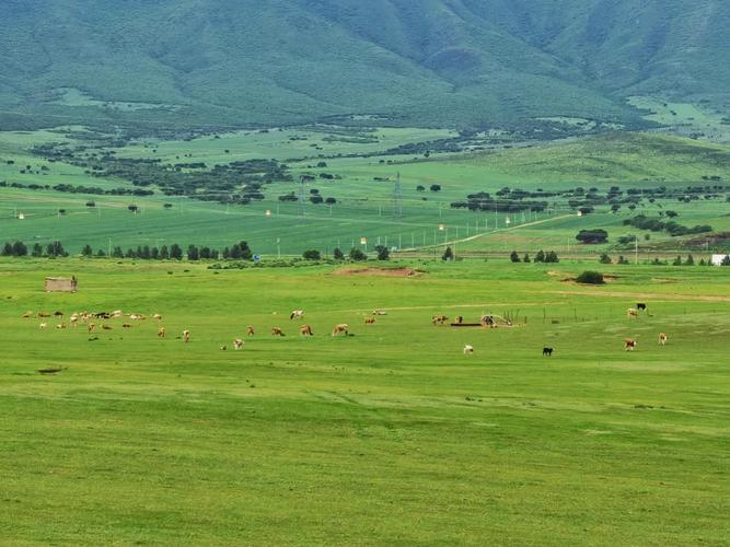 从吉林出发草原自驾游