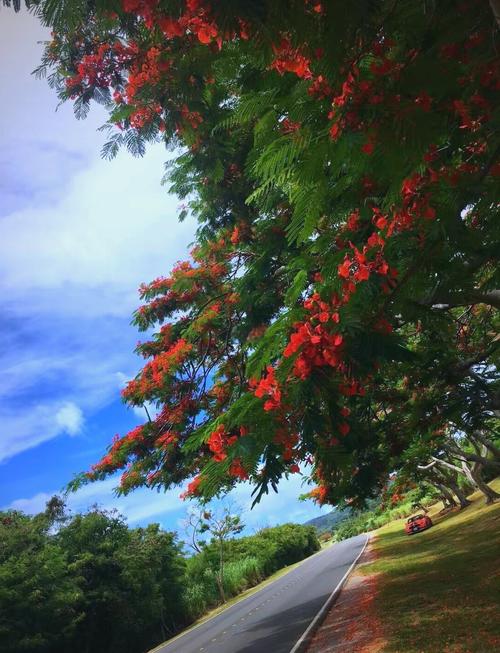 塞班岛环岛自驾游攻略