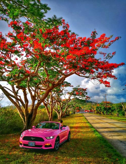 塞班岛环岛自驾游攻略