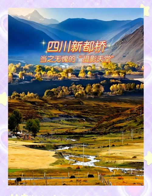 新都桥返回重庆自驾游