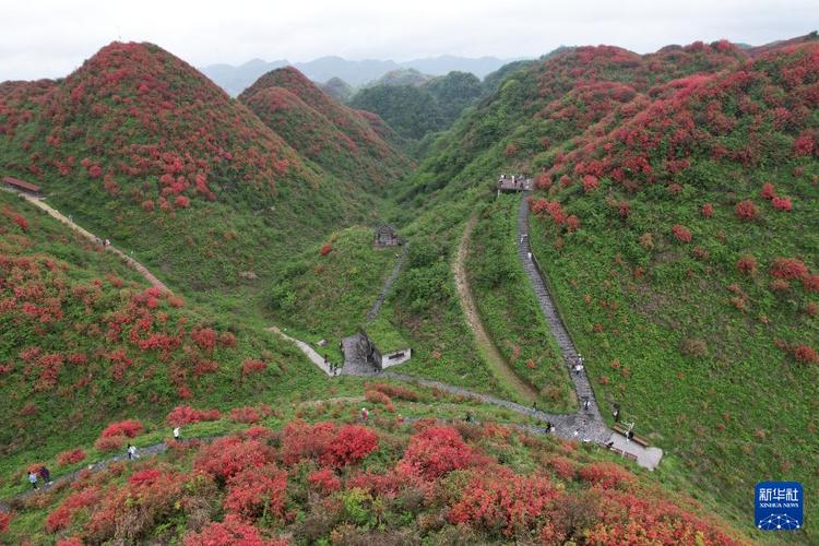洪关苗乡旅游景点图片