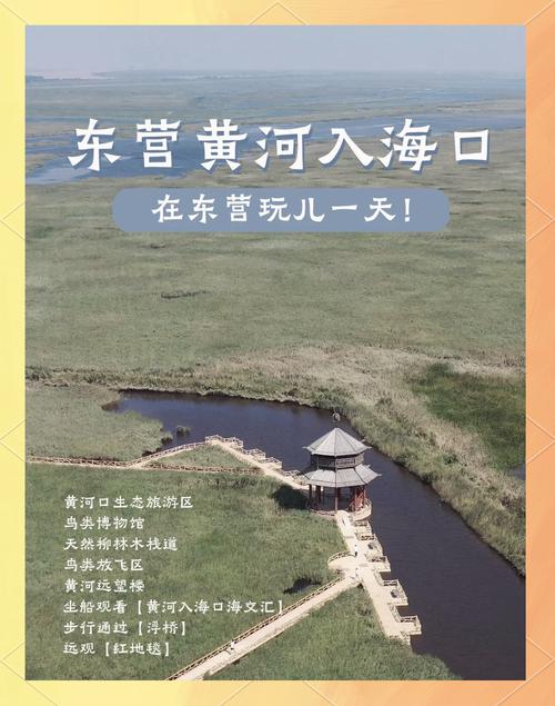 黄河入海口自驾游路线