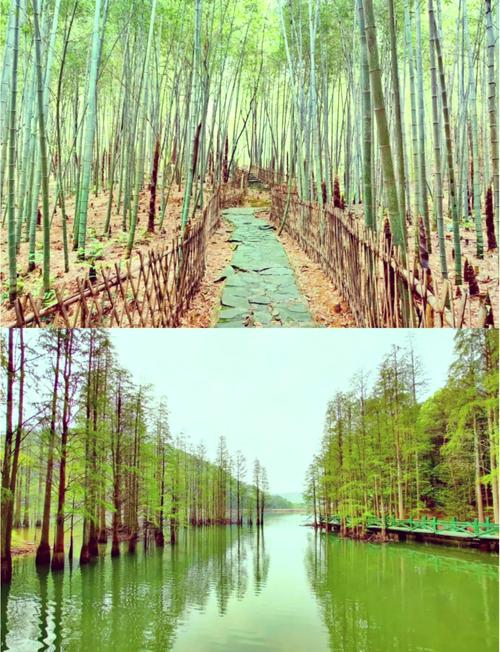 湖北适合自驾游的景点