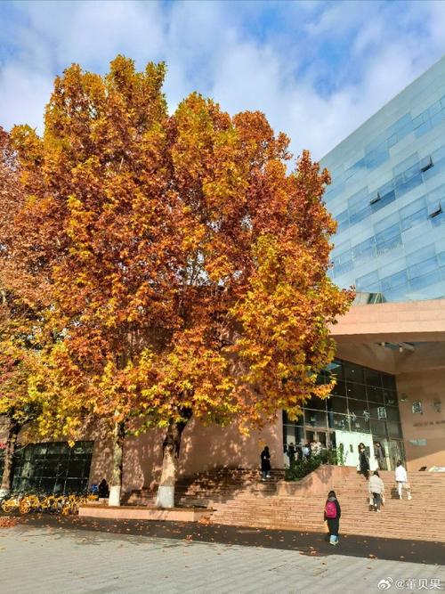 中国传媒大学周围景点