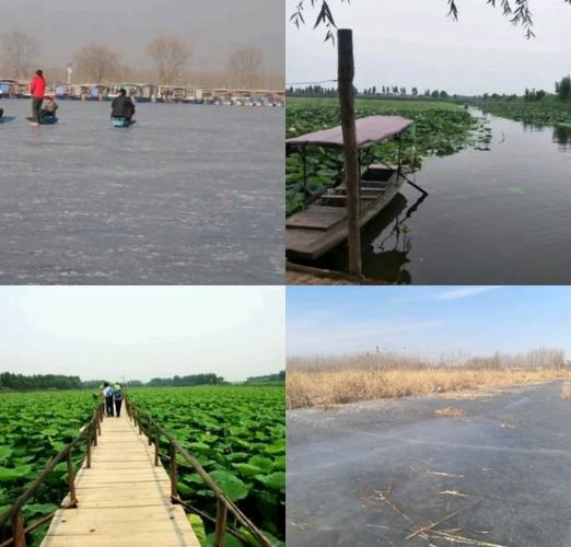 沧州西到白洋淀自驾游