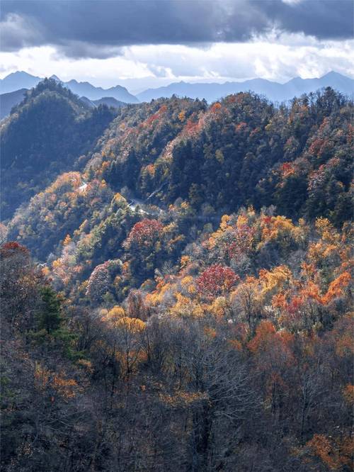 11月自驾游线路风景