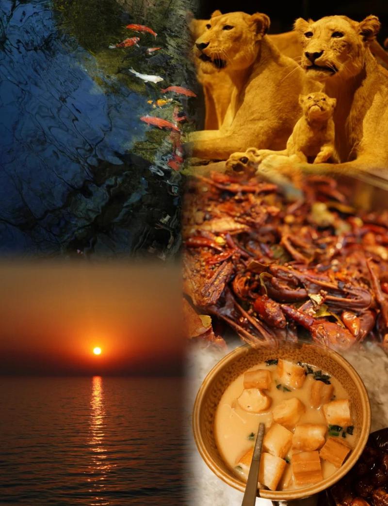 济南至大连自驾游攻略